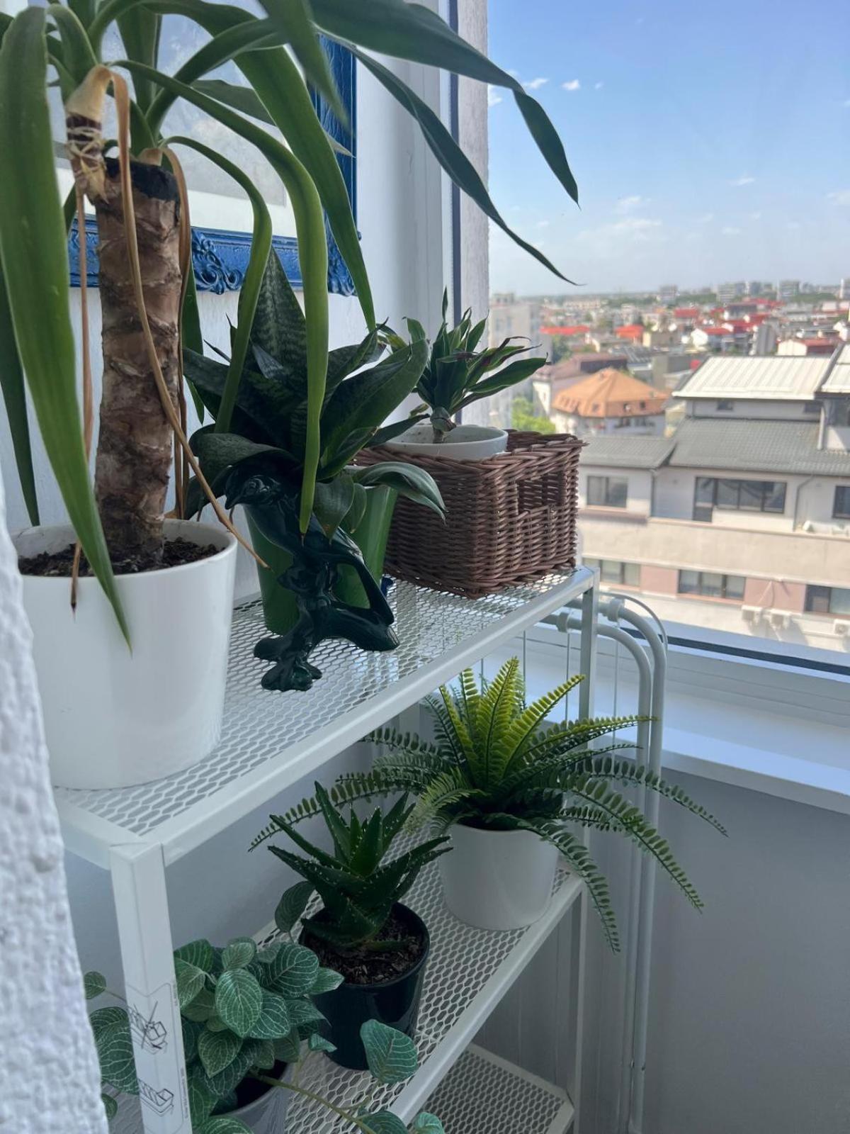 1Bdr Apartment Perla 225 Бухарест Экстерьер фото